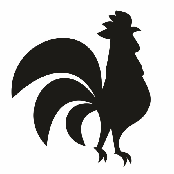 Drewniany magnes Kogut