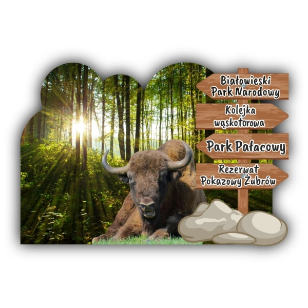 magnes żubr, pamiątka z Białowieży, białowieski park narodowy