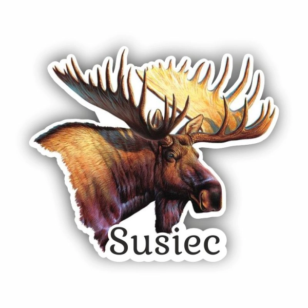 magnes żubr, magnes białowieża, magnes biebrza, magnes hajnówka, żubr magnes, magnesy susiec