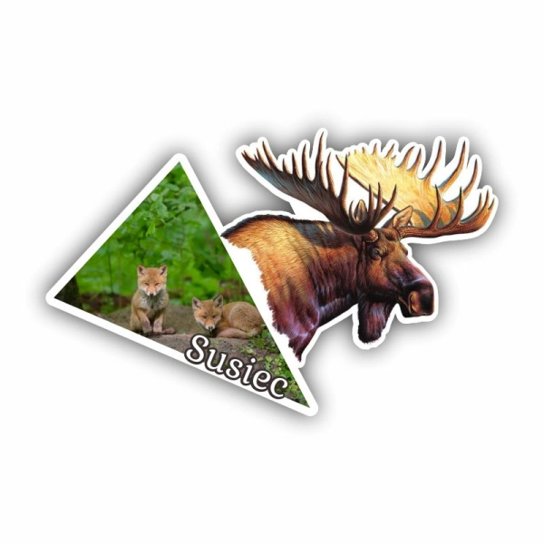 magnes żubr, magnes Białowieża, magnes Biebrza, magnes Hajnówka, żubr magnes, magnesy susiec, magnesy drewniane,