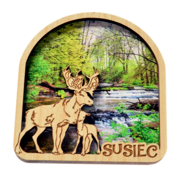 Magnes Jelenie z widokiem