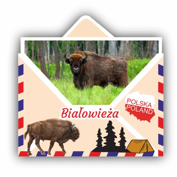 magnes żubr, magnes Białowieża, magnes Biebrza, magnes Hajnówka, żubr magnes, magnesy susiec, magnesy drewniane,