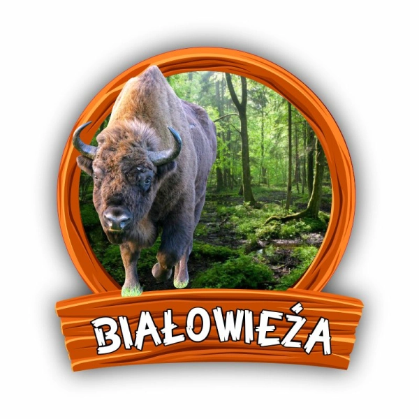 magnes żubr, magnes Białowieża, magnes Biebrza, magnes Hajnówka, żubr magnes, magnesy susiec, magnesy drewniane, pamiątk