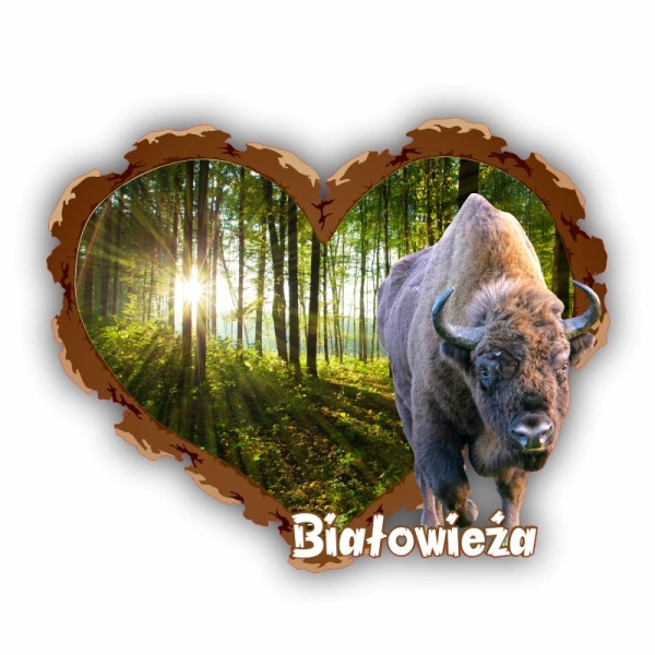 magnes żubr, magnes Białowieża, magnes Biebrza, magnes Hajnówka, żubr magnes, magnesy susiec, magnesy drewniane, pamiątk