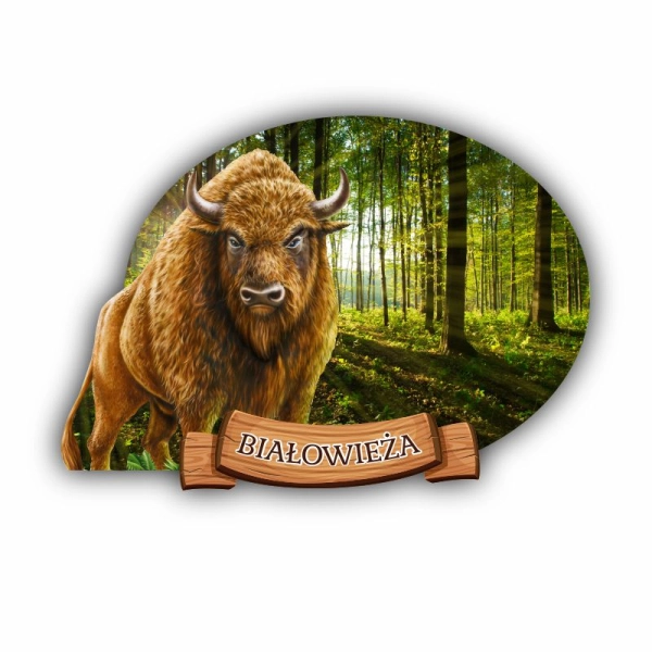 magnes żubr, magnes Białowieża, magnes Biebrza, magnes Hajnówka, żubr magnes, magnesy susiec, magnesy drewniane, pamiątk