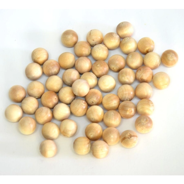 Drewniana PROCA + GRATIS 10 KULEK