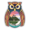 Magnes na lodówkę w kształcie kolorowej sowy z widokiem