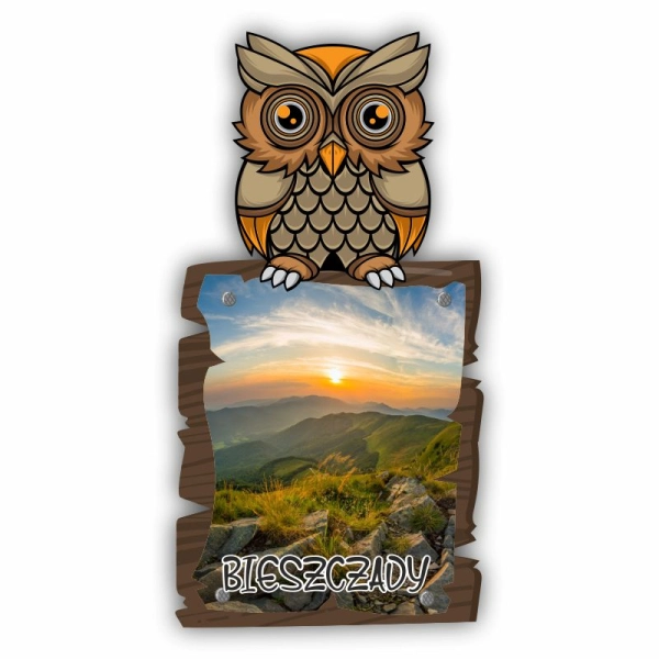 Magnes Kolorowa sowa z widokiem