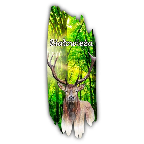 Magnes KORA Z JELENIEM N2