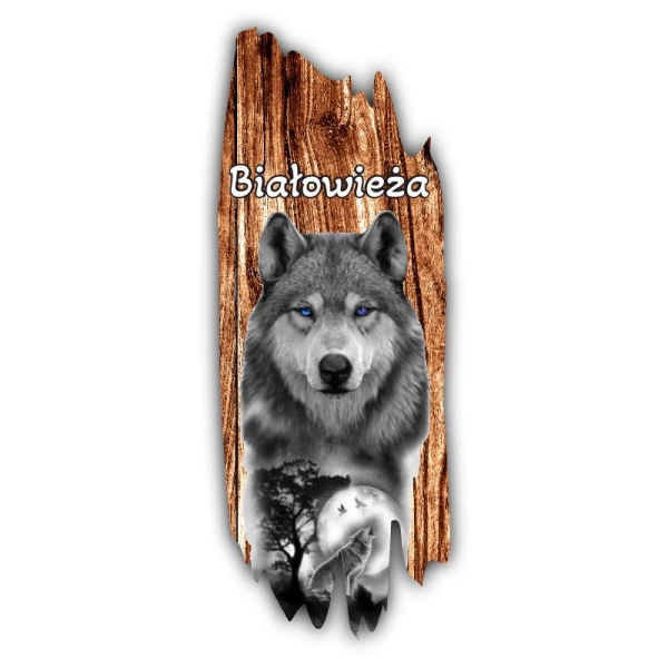 Magnes KORA Z WILKIEM N2