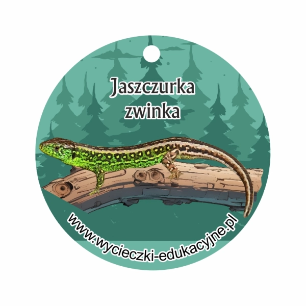 Drewniany brelok Jaszczurka zwinka