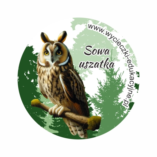 Drewniany brelok SOWA USZATKA