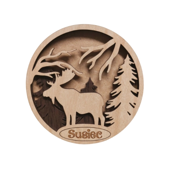 Drewniany magnes 3D N2