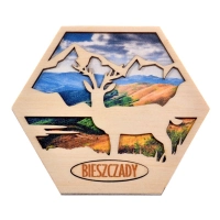 N2 Jeleń i góry Zdjęcie miejscowości