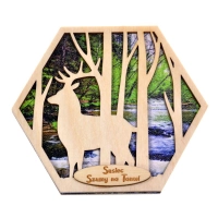 N1 Jeleń Zdjęcie z miejscowości