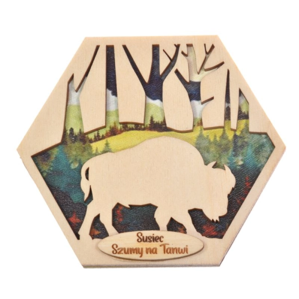 Magnes Heksagon N9 Żubr