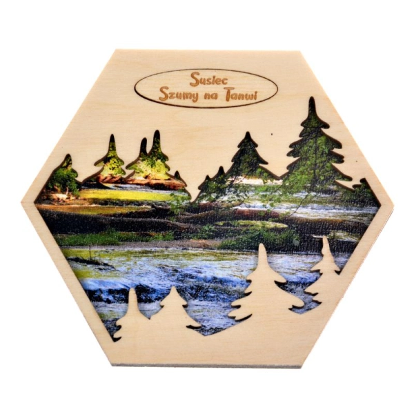 Magnes Heksagon N10 Choinki