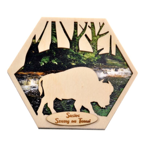 Magnes Heksagon N9 Żubr