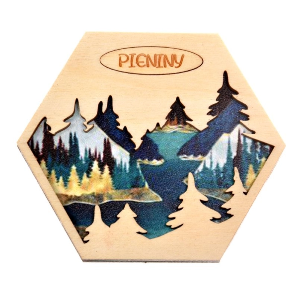 Magnes Heksagon N10 Choinki