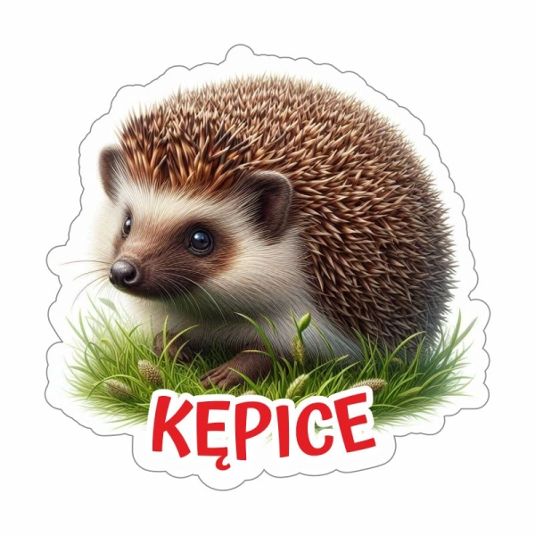 magnes łoś z drewnianą ramka i widoczkiem