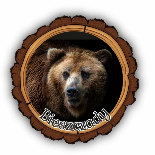 magnes kora, magnes drewniany ze zwierzętami, magnes park narodowy