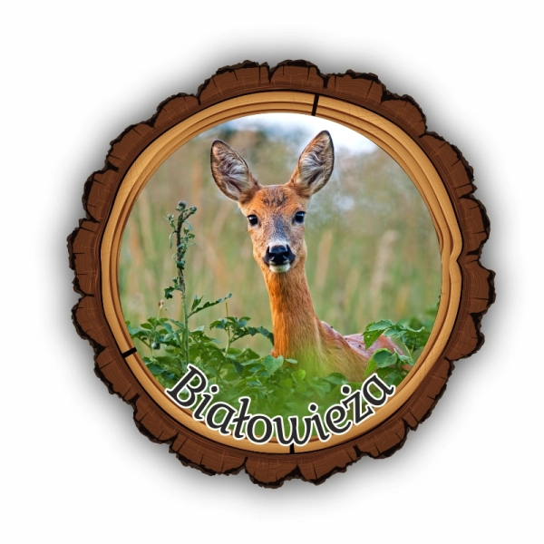 magnes kora, magnes drewniany ze zwierzętami, magnes park narodowy