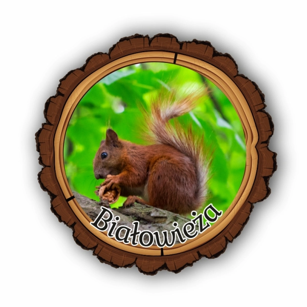 magnes kora, magnes drewniany ze zwierzętami, magnes park narodowy