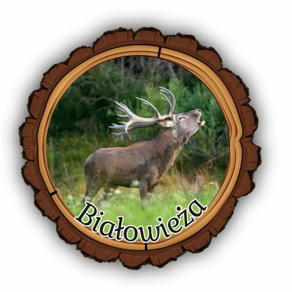 magnes kora z jeleniem magnes drewniany magnes ze zwierzetami lesnymi