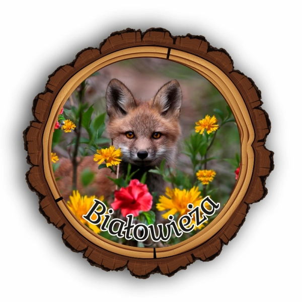 Magnes Kora z LISEM N1