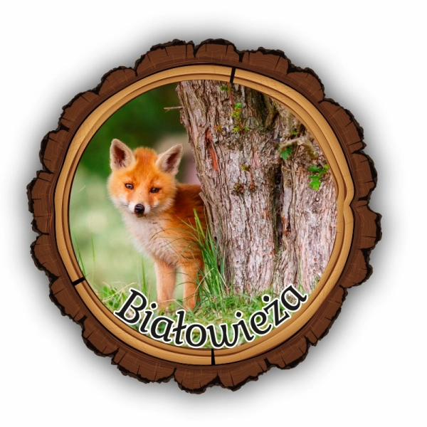 magnes kora, magnes drewniany ze zwierzętami, magnes park narodowy