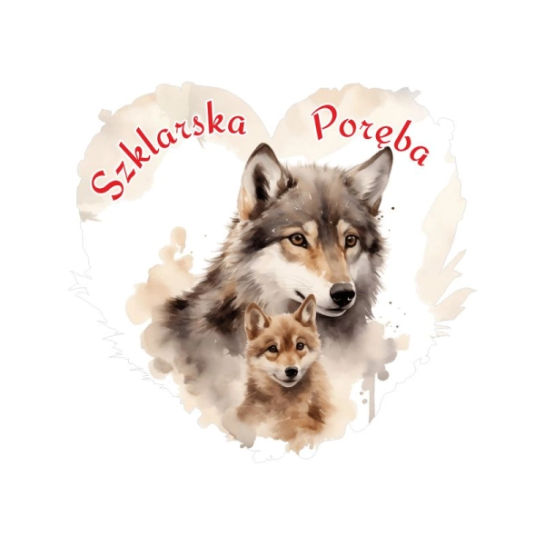 Drewniany magnes serce akwarela MIX N7