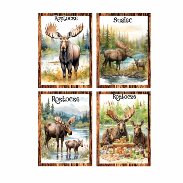 Drewniany magnes MIX Łosie