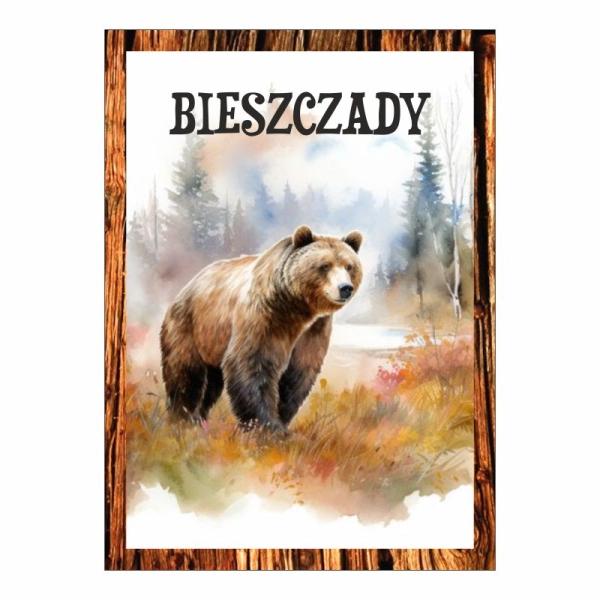 Magnes Niedźwiedź z drewnianą ramką