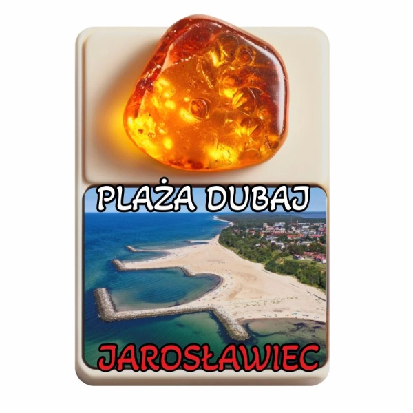 Drewniany magnes z bursztynem