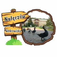 Drogowskaz kora kolor