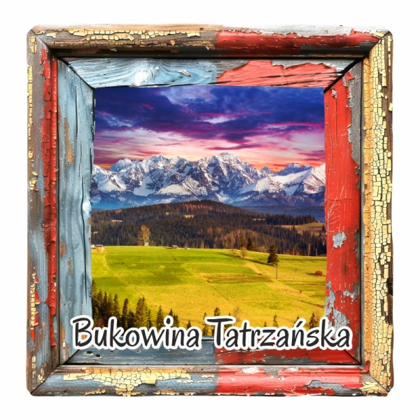 Drewniany magnes Kora przestrzenna N11