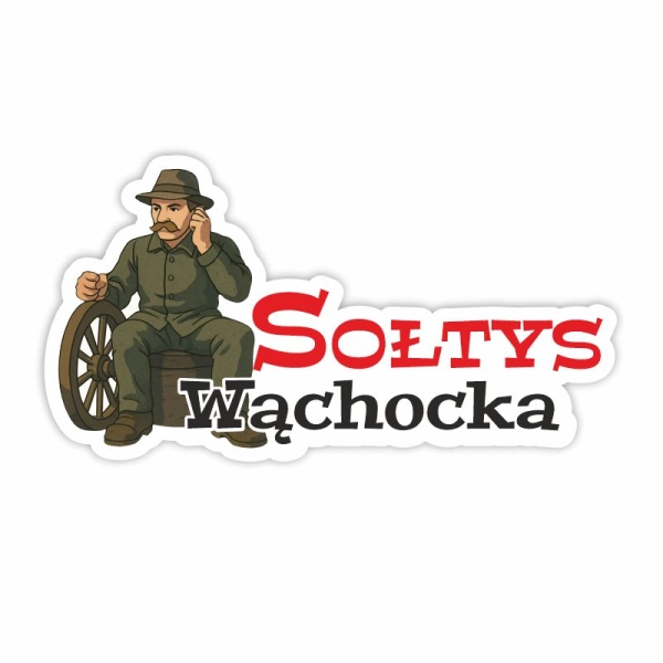 magnes łoś z drewnianą ramka i widoczkiem