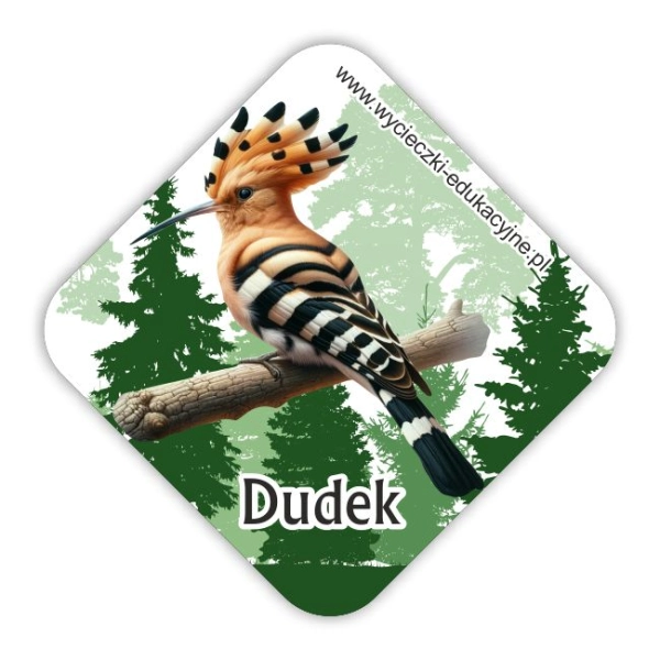 Drewniany magnes MINI Dudek