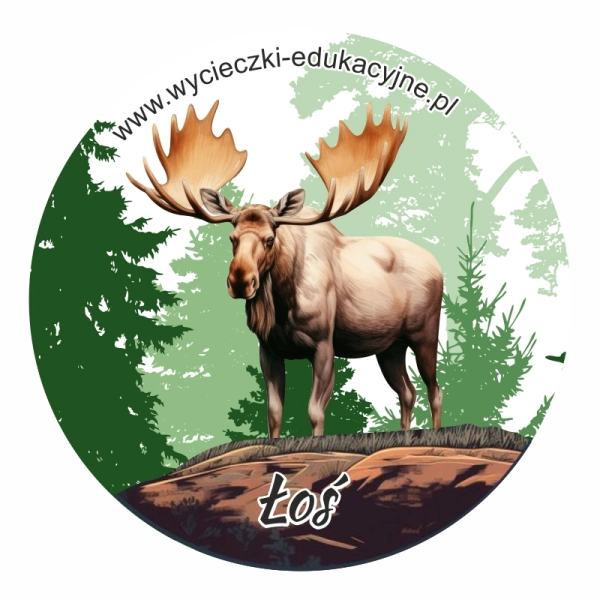 Drewniany magnes Koło z Łosiem 2D