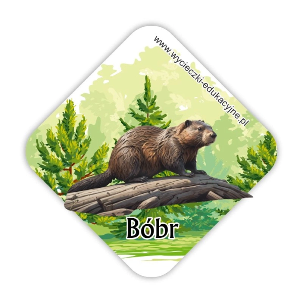 Drewniany magnes Bóbr 2D