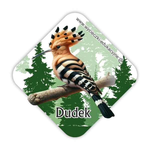 Drewniany magnes Dudek 2D
