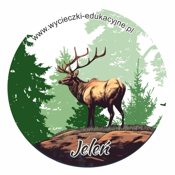 Drewniany magnes Koło z Jeleniem 2D