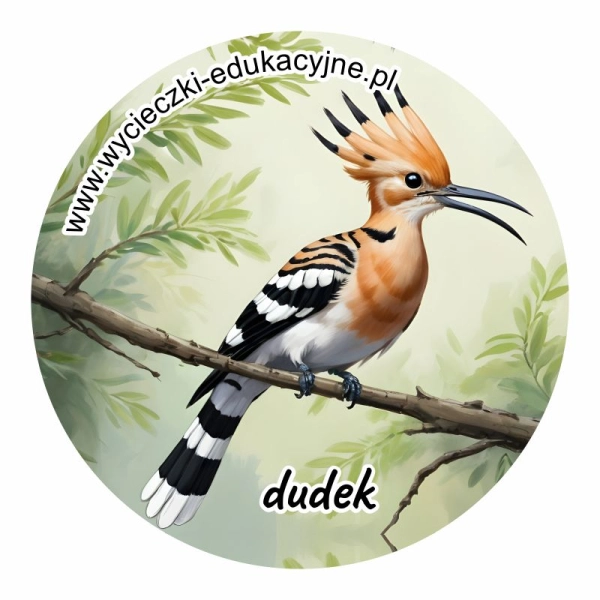 Drewniany magnes Koło Ptak Dudek