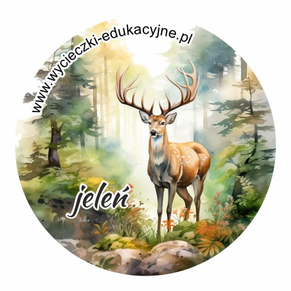 Drewniany magnes Koło z Jeleniem