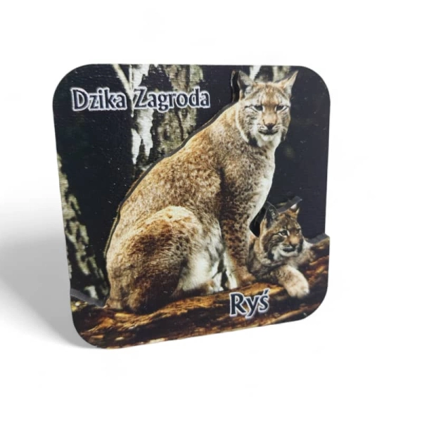 Drewniany magnes Ryś 2D