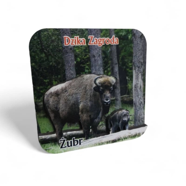 Drewniany magnes Żubr 2D