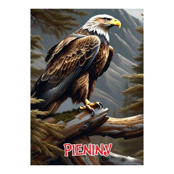 Drewniany magnes Orzeł 2D