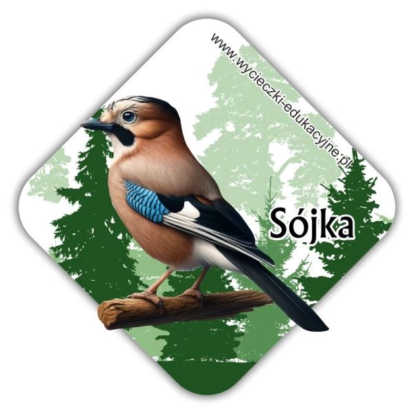 Drewniany magnes Sójka 2D