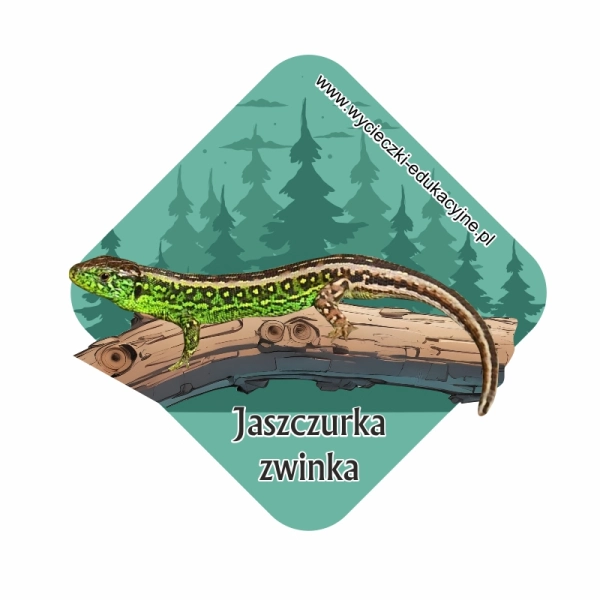 Drewniany magnes Jaszczurka zwinka 2D