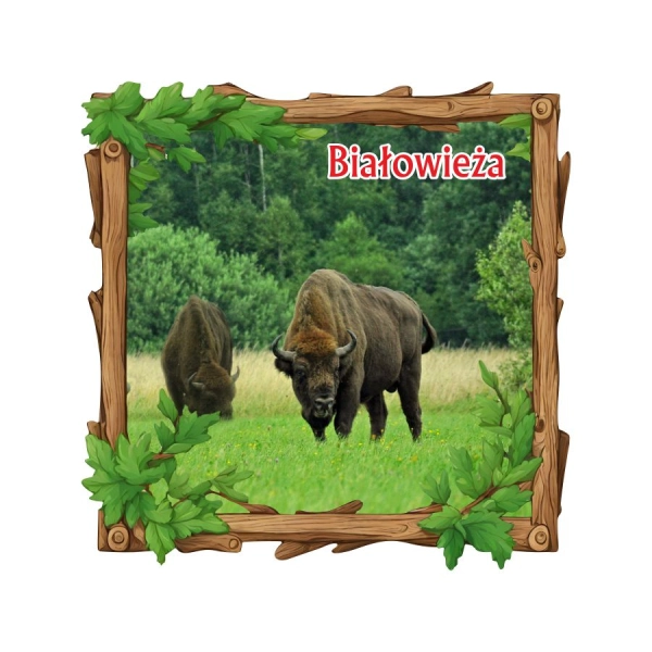 Drewniany magnes Ramka drewniana N3